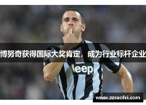 博努奇获得国际大奖肯定，成为行业标杆企业