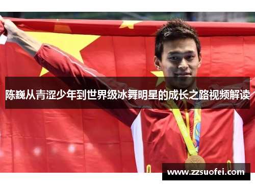 陈巍从青涩少年到世界级冰舞明星的成长之路视频解读